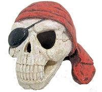 Amtra Wave Crâne Pirate avec Bandage Objet d'Ornement pour Aquariophilie