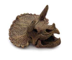 Amtra Wave Crâne Triceratops Objet d'Ornement pour Aquariophilie