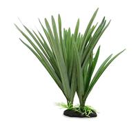 Amtra Wave Dracena Plante Réplique pour Aquariophilie 25 cm