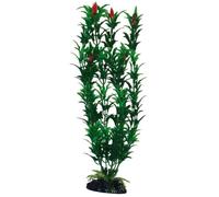Amtra Wave Egeria Plante avec Fleur Classique pour Aquariophilie Bicolore Taille M