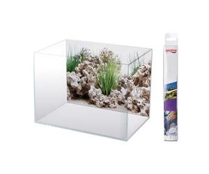 AMTRA WONDER, Fond Aquarium Double, Décoration Aquarium, Poster décoratif Impression Double, Format 30x60cm