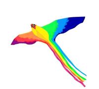 AMULONG Cerf-Volant, Forte Queue Longue colorée énorme Phoenix Kite Breeze Easy Flying Kites Kites d'adultes Beach Kite(200cm)