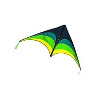 AMULONG Cerf-Volant, Triangle Prairie Cerf-Volant Vent Léger Et Facile À Voler Débutant Activités De Jeu en Plein Air Famille Cerf-Volant Beach Kite(130 * 365cm,500m Line)