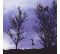 Amusement Parks on Fire - Out of Angeles [Import]