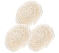 AMUSLESUR Ensemble 3 Bâtonnets Diffuseurs à Roseaux Blancs sans Flamme, Décoration Maison Fleurs Séchées en Rotin, Accessoire D'aromathérapie Créatif pour Parfumer et Embellir Intérieur