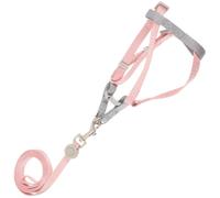 AMUSLESUR Harnais Élégant en Chaton et Réglable Laisse Polyester Robuste, Ensemble Confortable pour Promenades en Extérieur