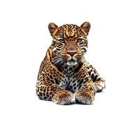 AMXBZC Affiche décorative chambre d'enfant Affiches de léopards naturels Moderne animaux de safari en afrique - Poster Images Murales - Décoration chambre de bébé(Brown 1)-50x70cm Sans cadre