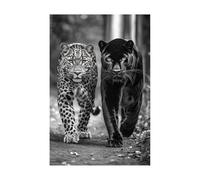 AMXBZC Murale d'art l'image imprimée sur Toile Affiche des deux léopards mignons Moderne animaux de safari en afrique -Images Murales - Décoration chambre de bébé(Noir 4)-60x90cm Sans cadre