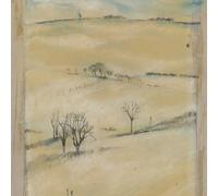 Amy Duncan - Wake [VINYL]