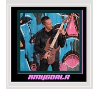 Amygdala