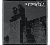Amygdala - Our Voices Will Soar. [Import]