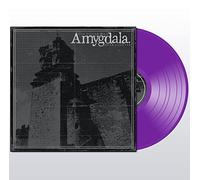 Amygdala - Our Voices Will Soar Forever