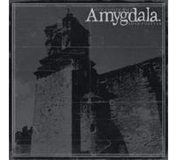 Amygdala Our Voices Will Soar Forever (Vinyl) 12" Album