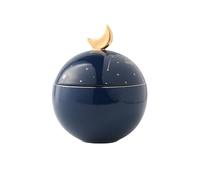 AMYSTY Urne Funeraire Compacte Urne for Animaux De Compagnie Crémation for Urnes Funéraires for Cendres Humaines Adultes Funéraire Décorative for Chats Et Chiens pour Conserver(Blue)
