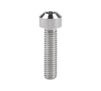 AMZBNEIDI Vis à tête bombée Vis à tête cylindrique Boulons, Jeu de vis Boulon en Titane M8 x 10 15 20 25 30 35 40 45 50mm T40 for rénovation de Voiture et Moto(Rainbow,15MM-M8)