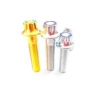 AMZBNEIDI Vis à tête bombée Vis à tête cylindrique Boulons, Vis à tête Torx Externe M7 en Acier Inoxydable, Boulon à 12 Dents, tête à Bride, Boulon à vis Torx 1 pièce(SilverxM7x24mm)