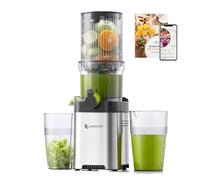 AMZCHEF 120MM Machine a Jus de Fruit Extracteur Entiers - Jus de Fruits et Légumes à Mastication Lente Slow Juicer - Sans Préparation Extracteur de Jus Vertical - Argent