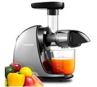 AMZCHEF- Gris - Extracteur de Jus de Fruits et Légumes - Presses-agrumes à Froid sans BPA