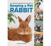 An Absolute Beginner's Guide To Keeping A Pet Rabbit