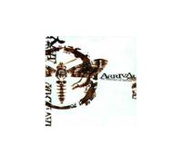 An Abstract Of Inertia