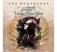 an Acoustic Evening at The Vienna Opera House
