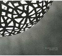 an Almost Silent Life