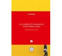 An Analysis Of Contemporary Social Welfare Issues