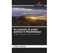 An analysis of public policies in Mozambique