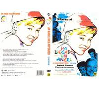 An Angel Has Appeared (Ha Llegado un Angel)