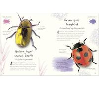An Anthology of Beetles: A Collection of Brilliant Beetles from Around the World