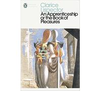 An Apprenticeship or The Book of Pleasures
