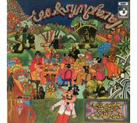 An Asylum For The Musically Insane