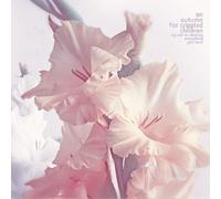 An autumn for crippled children - Try not to destroy everything you love