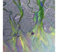 Alt-J - an Awesome Wave