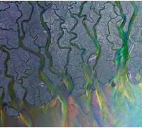 Alt-J - an Awesome Wave [Edition Deluxe 2CD Inclus 17 titres Bonus]