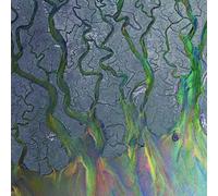 alt-J – An Awesome Wave – Vinyle 12" – Édition 10e anniversaire – Coloré