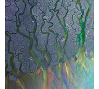 ALT-J - an Awesome Wave