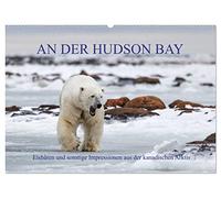 AN DER HUDSON BAY (Wandkalender 2026 DIN A2 quer), CALVENDO Monatskalender: Expedition in die kanadische Provinz Manitoba