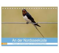 An der Nordseeküste - Wasser- und Küstenvögel fotografiert von Ostfriesenfotografie (Tischkalender 2026 DIN A5 quer), CALVENDO Monatskalender: An der ... fotografiert von Ostfriesenfotografie