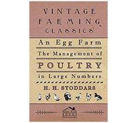 An Egg Farm - The Management Of Poultry In Large Numbers