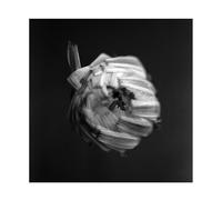 An Empire – CD