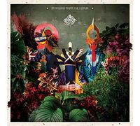 An Endless Feast for Hyenas