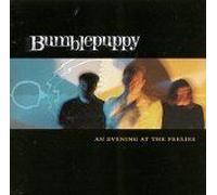 An Evening At The Feelies