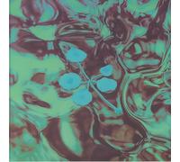 AN EVER-GROWING MERIDIONAL ENTERTAINMENT TRANSGRESSION AT THE EDGE OF THE MULTIVERSE