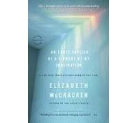 An Exact Replica Of A Figment Of My Imagination