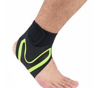 An Illustrated Historical Atlas Of St. Joseph Co., Indiana; 1875