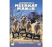An Introduction To Meerkat Manor G