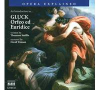 An Introduction To:Orfeo