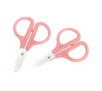 An Introduction To The Study Of Medicine: To Which Is Appended A Report On The Homoeopathic Treatment Of Acute Diseases In Dr. Fleischmann's Hospital,