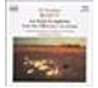An Irish symphoniy - With the wild geese - In Ireland